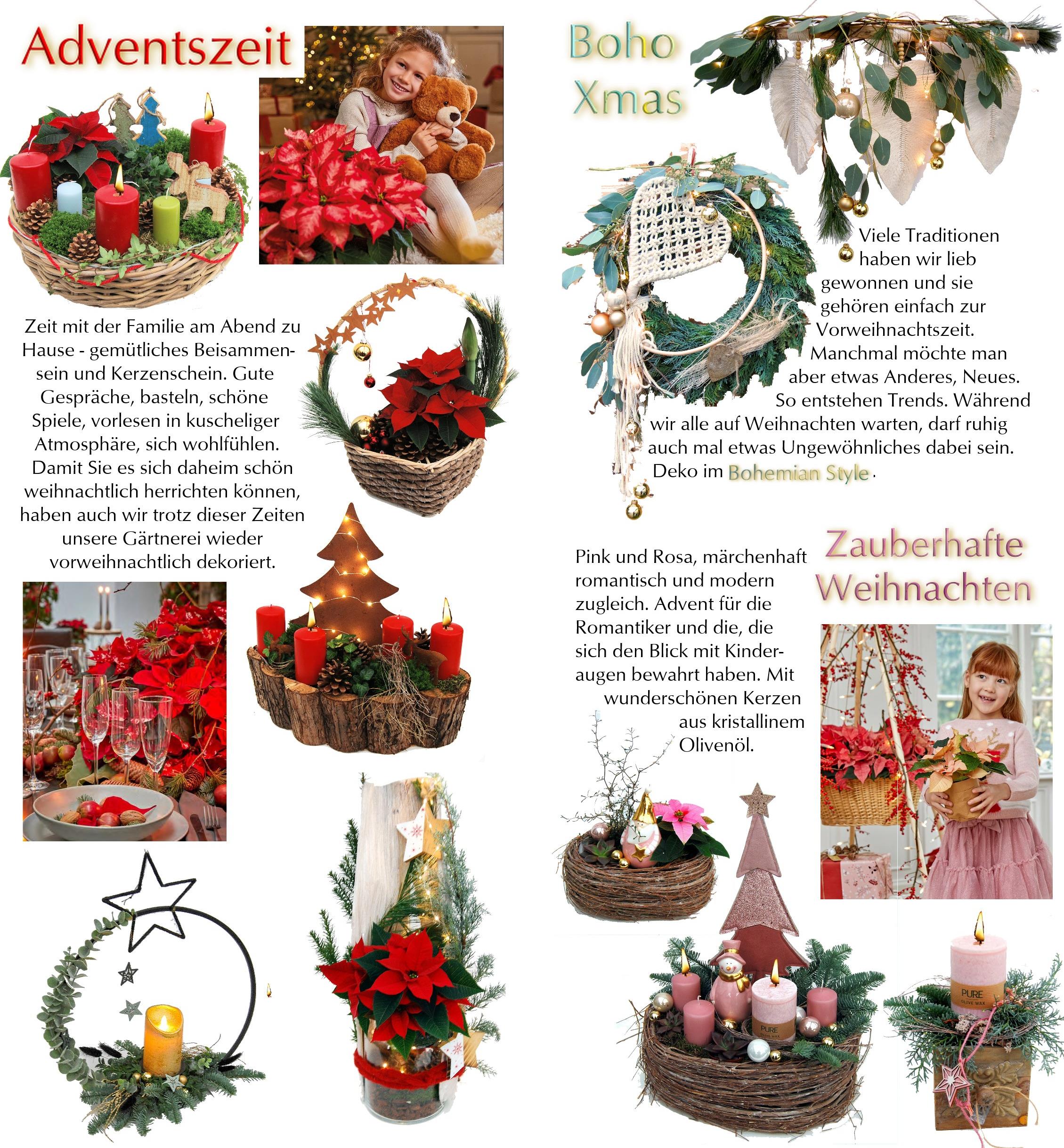 Advent22WebFloristik