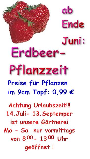 Internet_Erdbeer