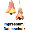 Impressum/ 
Datenschutz